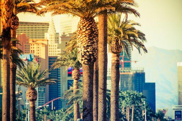 Las Vegas Strip Palms in Colorful Color Grading. Las Vegas, Nevada, United States.