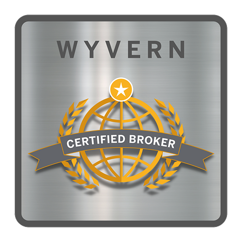 Luxury Aircraft Wyvern