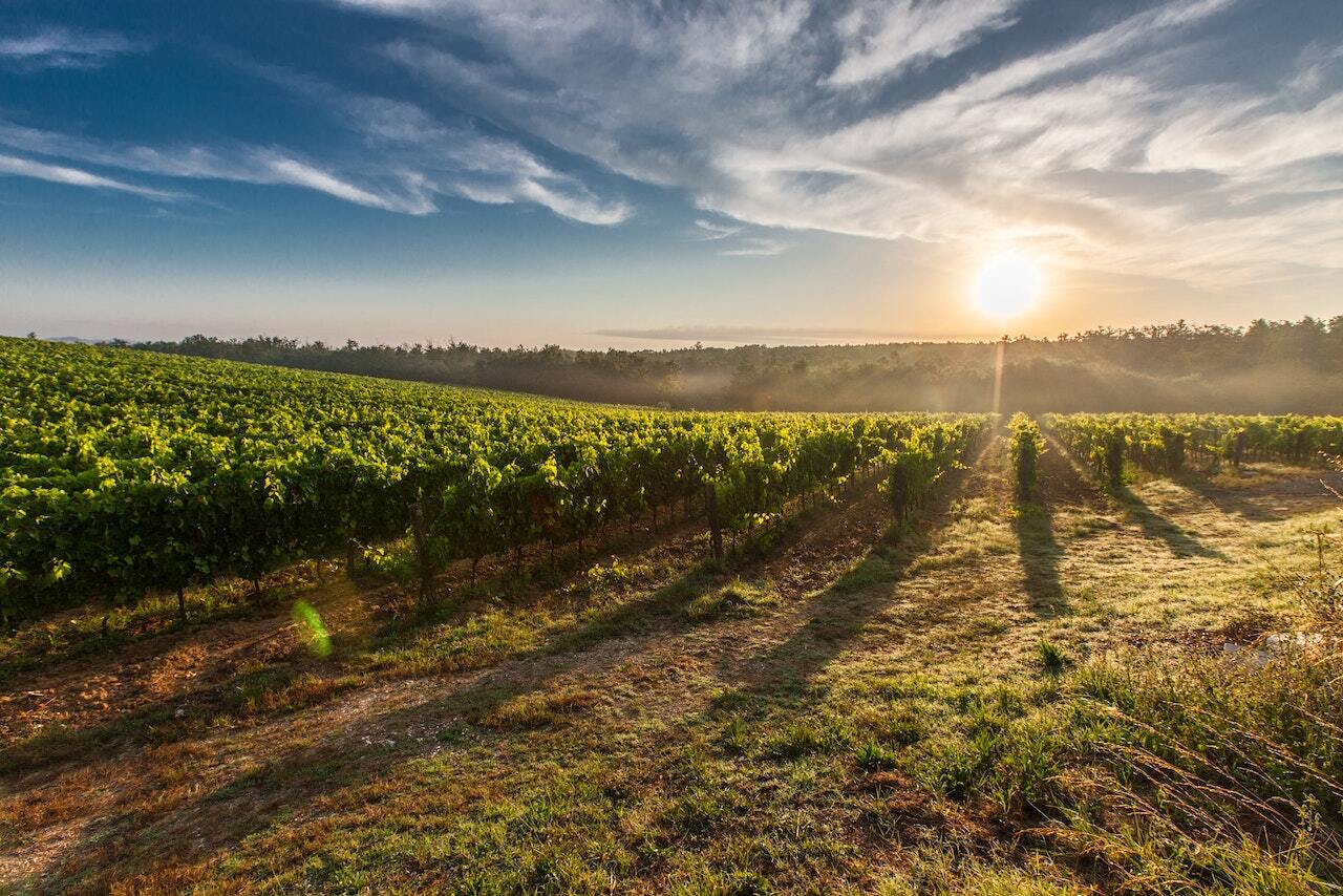 Charter a private flight to Napa County Airport (APC)